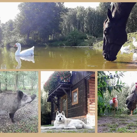 Farm stay Tamarynowa Osada - Kraina Udanego Wypoczynku *