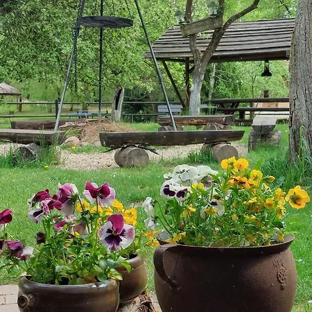 Farm stay Tamarynowa Osada - Kraina Udanego Wypoczynku *