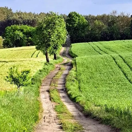 Tamarynowa Osada - Kraina Udanego Wypoczynku * Lowyn