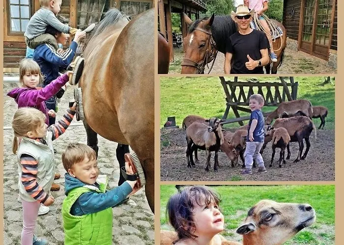 Κατάλυμα σε φάρμα Tamarynowa Osada - Kraina Udanego Wypoczynku Lowyn