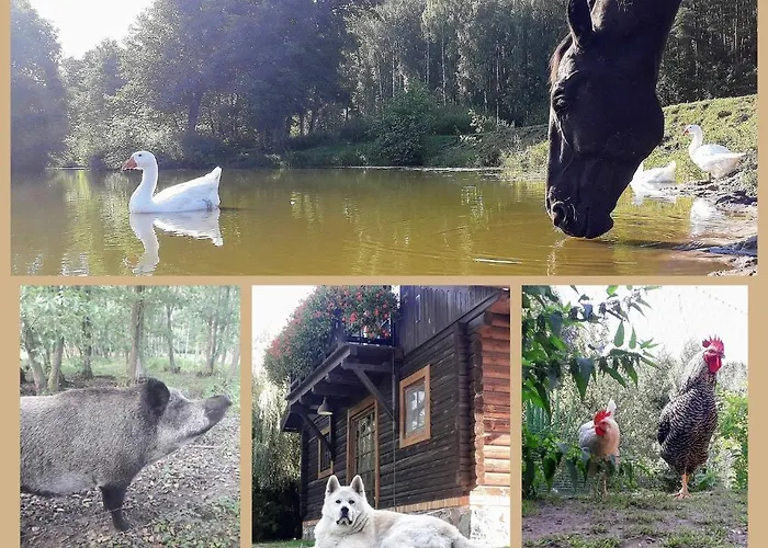 Farm stay Tamarynowa Osada - Kraina Udanego Wypoczynku *