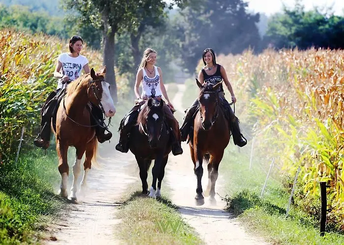 Tamarynowa Osada - Kraina Udanego Wypoczynku Farm stay *