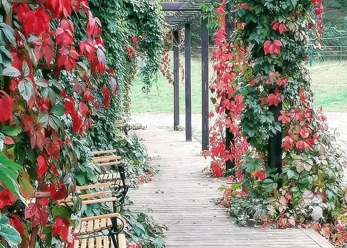 Tamarynowa Osada - Kraina Udanego Wypoczynku *