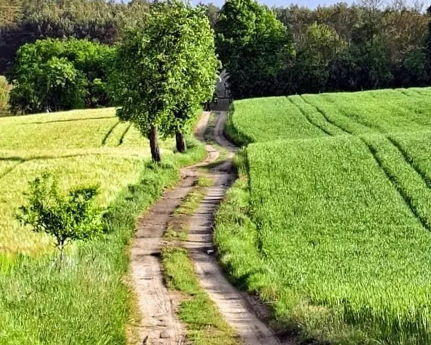 Tamarynowa Osada - Kraina Udanego Wypoczynku * Lowyn