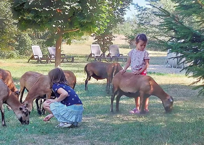 Tamarynowa Osada - Kraina Udanego Wypoczynku